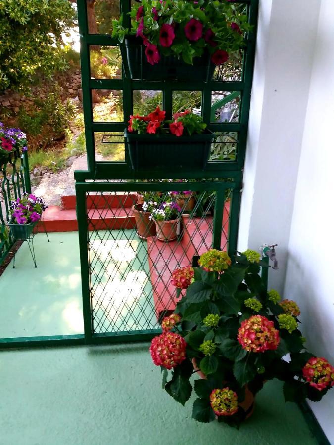 Apartman Kristin Podaca Exterior foto